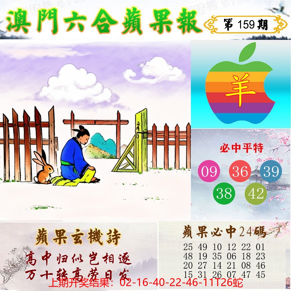 苹果报.jpg