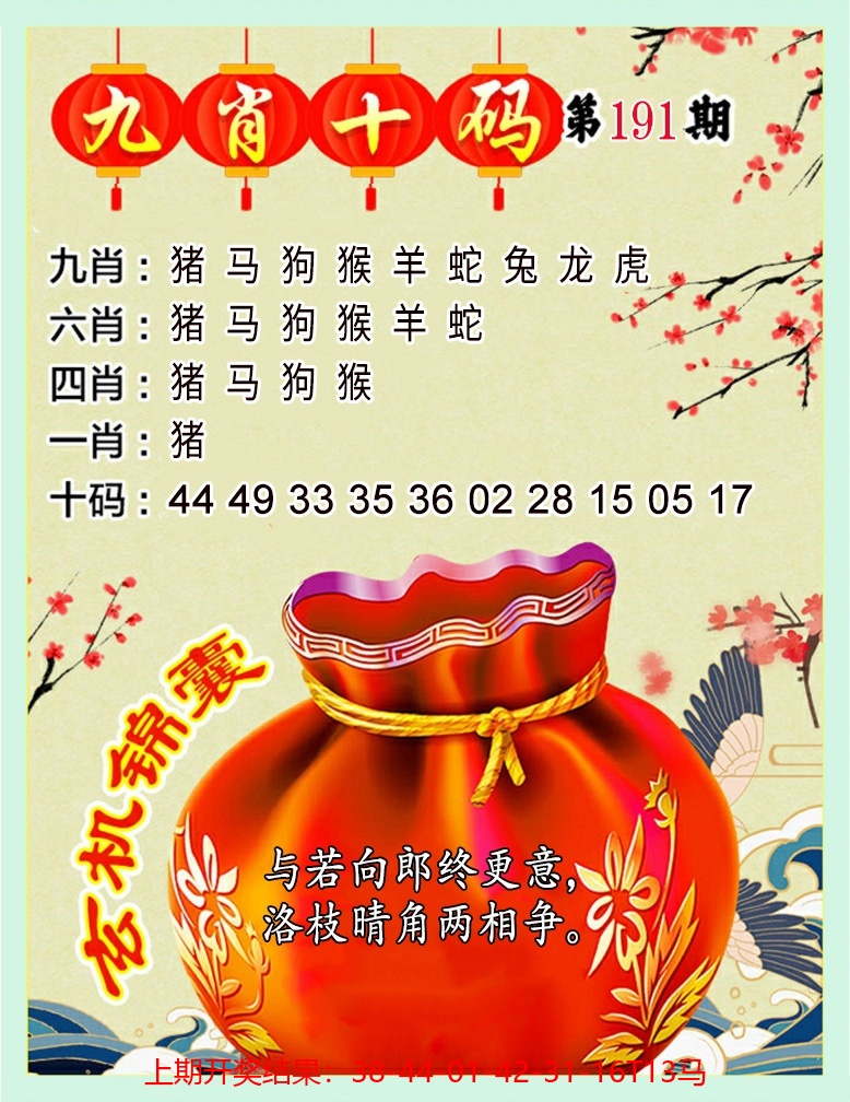 九肖十码