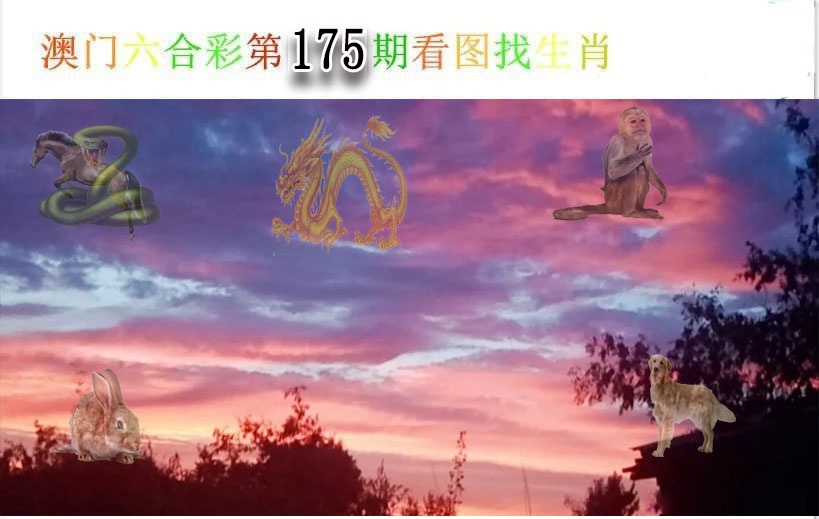 175更新中