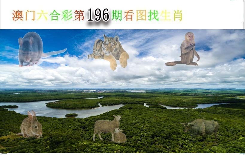 196更新中