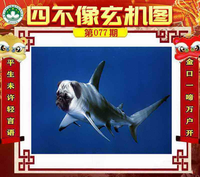 77更新中